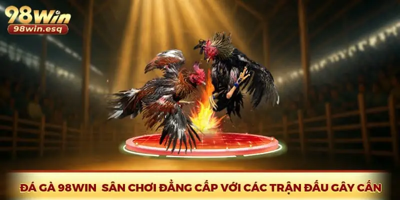 Đá Gà 98Win - Sân Chơi Đẳng Cấp Với Các Trận Đấu Gây Cấn