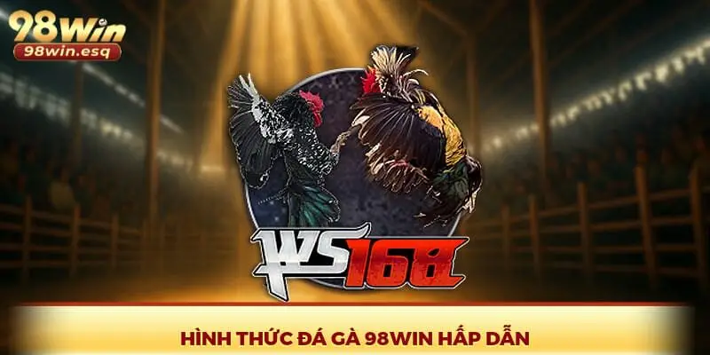 Hình thức đá gà 98Win hấp dẫn