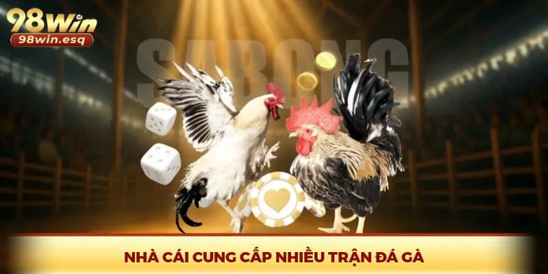 Nhà cái cung cấp nhiều trận đá gà